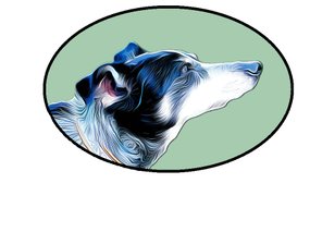 Frollein Flauschig: Näherei und Training für Hunde